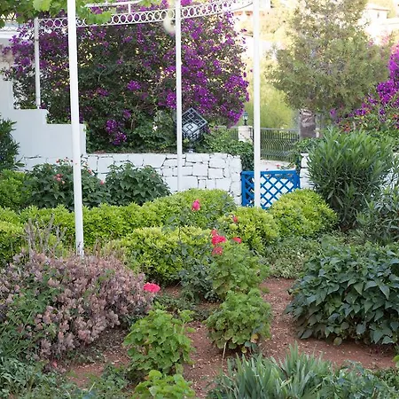 Villa Mimosa *