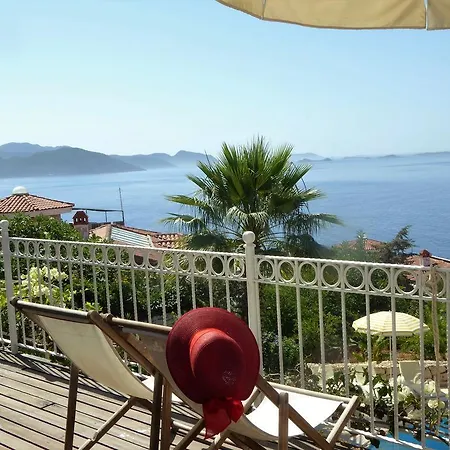 Mimosa Kaş